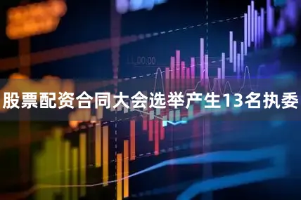 股票配资合同大会选举产生13名执委