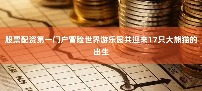 股票配资第一门户冒险世界游乐园共迎来17只大熊猫的出生