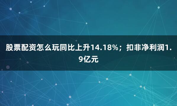 股票配资怎么玩同比上升14.18%；扣非净利润1.9亿元
