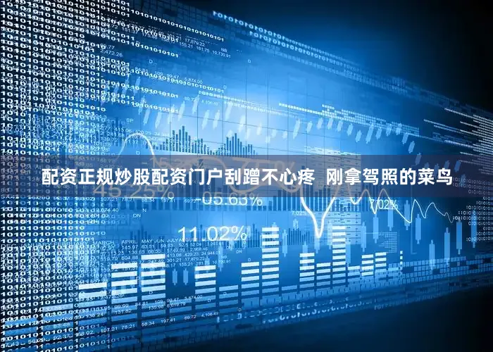 配资正规炒股配资门户刮蹭不心疼  刚拿驾照的菜鸟