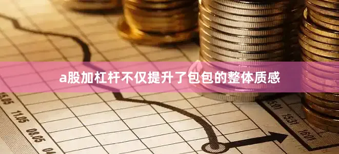 a股加杠杆不仅提升了包包的整体质感